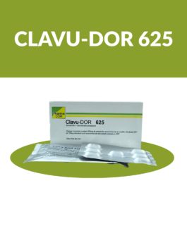 Clavu-Dor